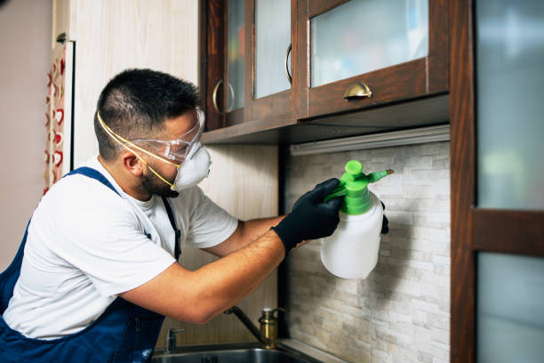 Best Mosquito Control Services  in Trinity, TX
