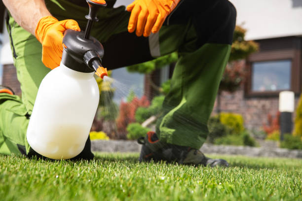 Best Best Pest Control Companies  in Trinity, TX