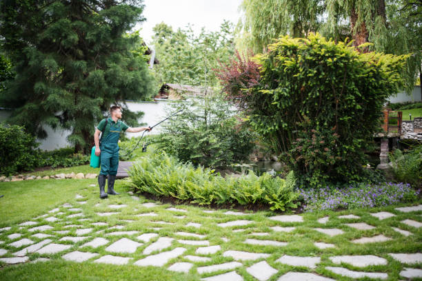Best Local Pest Control Services  in Trinity, TX