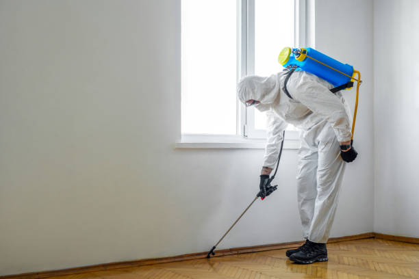 Best Emergency Pest Control  in Trinity, TX