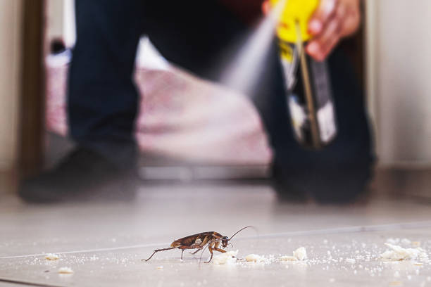 Best Ant Control Services  in Trinity, TX