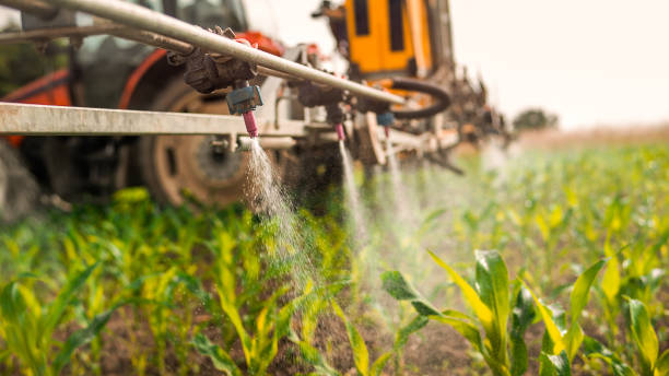 Best Commercial Pest Control Services  in Trinity, TX